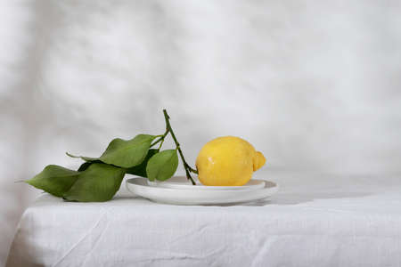 Fresh lemon with green leaves, selective focus imageの写真素材