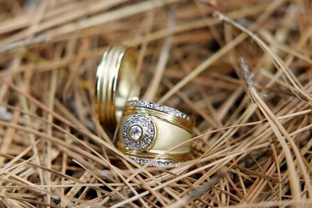 Two gold wedding bands on pine twigsの写真素材