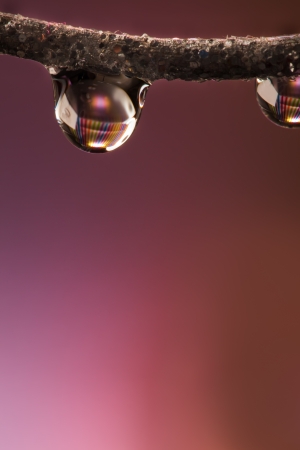 Waterdrop on a cabel with gliserien in the water.の写真素材