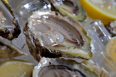 Opened oysters with lemon in ice bowl being served.