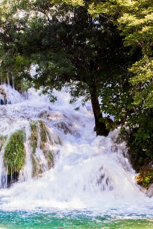 There is a big waterfall coming down at the back of the tree の写真素材