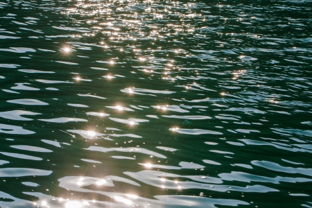 The river is sparkling with small amazing little lights の写真素材