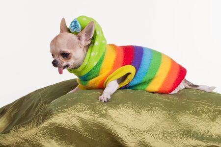 On her way down the plank.の写真素材