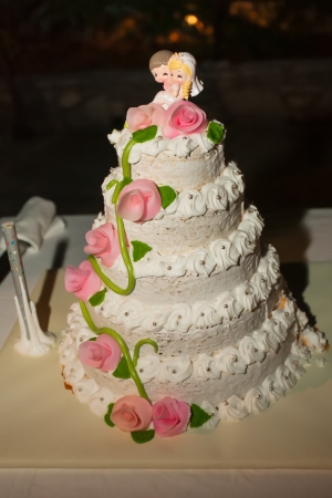 A three layer ice cream cake for the day.の写真素材