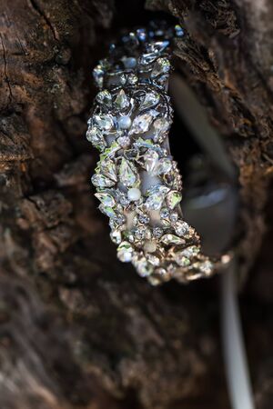 A diamond bracelet hanging in a tree.の写真素材