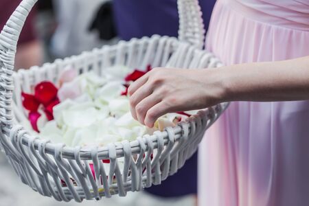 The flower girl need to throwsome rose pedals on the married couple の写真素材