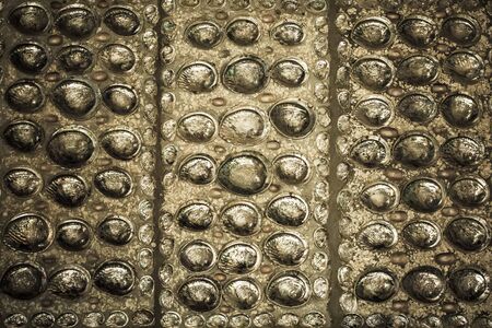 A big wall filled with Abelone shells big and small.の写真素材