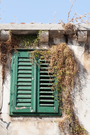 A green window shutter of a home in Croatia.の写真素材