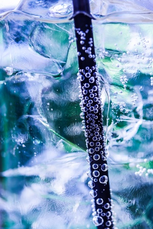 A soda with a black straw and bubbles which are attached to it.の写真素材