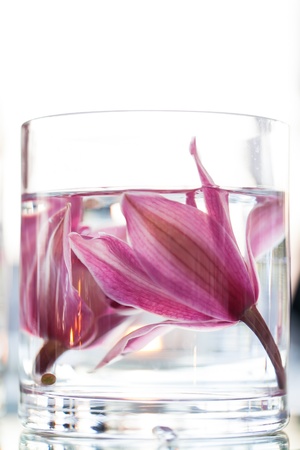 Two lillies under water in a glass vase.の写真素材
