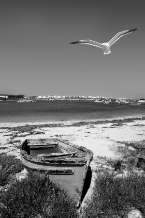 A boat wreck stranded on the shore of the Western Coast.の写真素材
