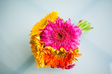 bright yellow orange and pink gerbera bouquet tied with pink ribbonの写真素材