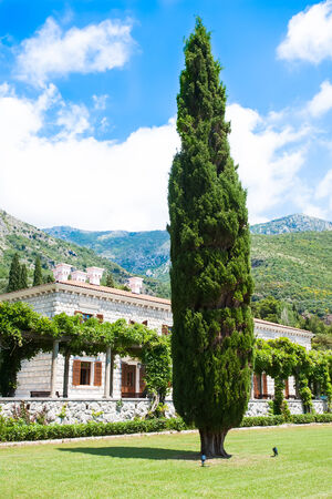 a large tree standing lonely in the lawn of an old stone house with brown shutters with the mountains reaching the blue sky in the backgroundの写真素材