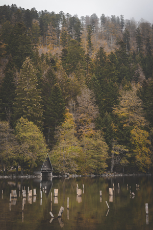boathouse at lake in autumn forest at lac longemer-xanrupt in Vosges, Franceの写真素材