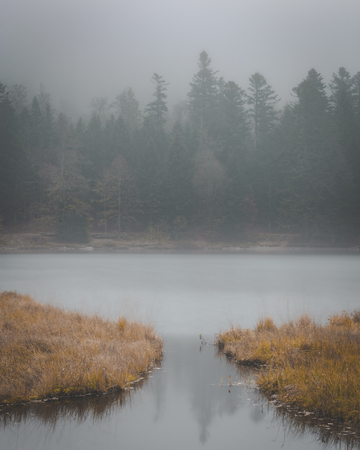 dark misty image of water leading into lakeの写真素材