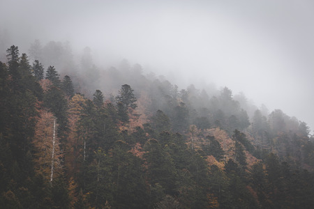 Clouds rolling through autumn mountains on dark and moody day. Vosges, Franceの写真素材