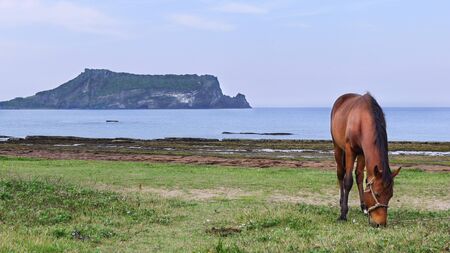 The view on Jeju islandの写真素材