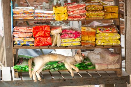 Bagan/Myanmar-06.03.2017:Cat sleeping on the shops shelfの写真素材