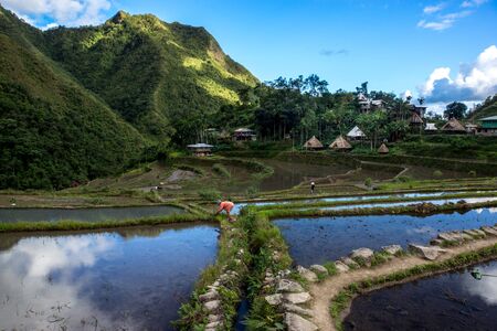 Rice terraces and Banaue village on Philippinesの写真素材