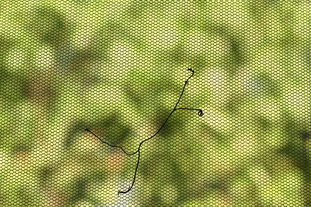 Hexagonal Mesh Patter Over The Green Backgroundの写真素材