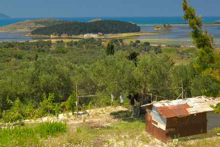 All shades of green in an Albanian colorful coast. A tropical jewel in Europe.の写真素材
