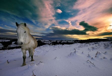 A wild dartmoor with a snowy sunset scene の写真素材