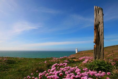 this is Trevose head lighthouse in Cornwall, taken in the early summerの写真素材