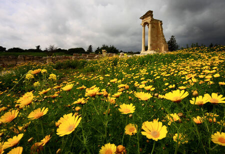 Spring wild flowers bloom at the Sanctuary and temple of Apollo Hylates near Kourion Cyprus の写真素材