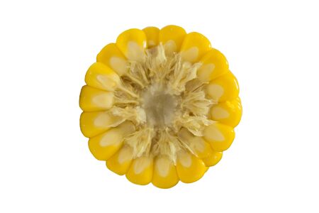 Yellow corn. On a white background.の写真素材