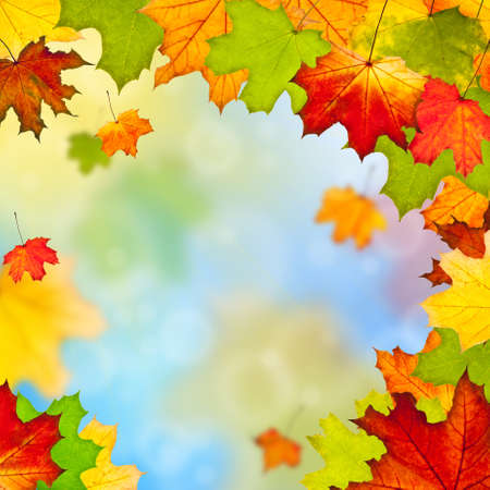 Frame of colorful autumn leaves against blue skyの写真素材