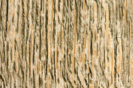 Close-up of obsolete wooden surface. Background or textureの写真素材
