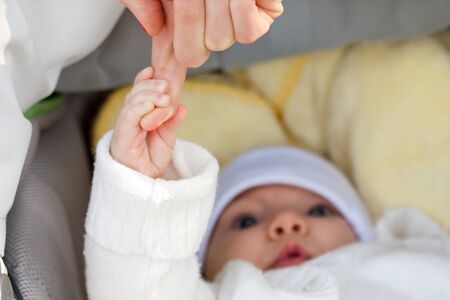 Little child in perambulator holding mother's hand