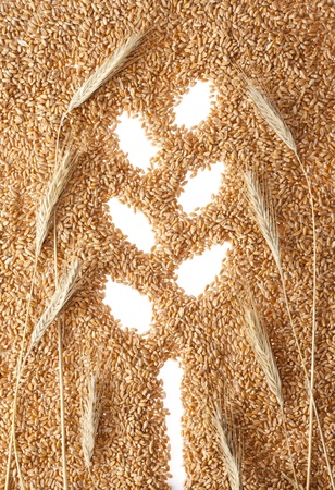 Close-up view of wheat ear symbol made of seedsの写真素材