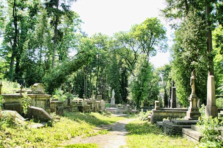 Old cemetery with damaged graves in forestの写真素材