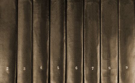 Row of books. Background or textureの写真素材