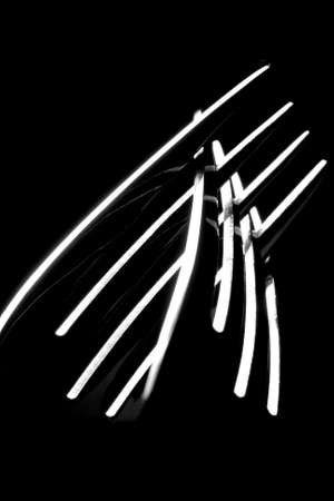 Two crossed silver forks. In B/Wの写真素材