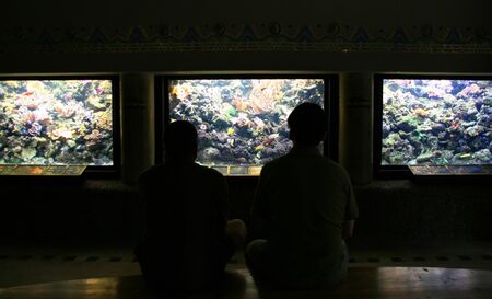 Two spectators in aquariums hall