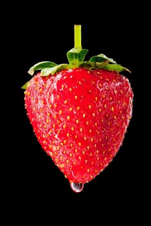 Close-up of wet ripe strawberry. Isolated on blackの写真素材