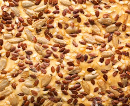 Close-up of cracker cookie. Background or textureの写真素材