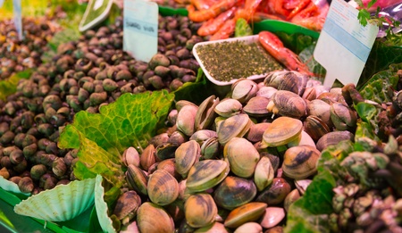 Assorted mollusks on ice in seafood marketの写真素材