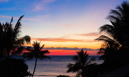 Tropical sunset with palm treesの写真素材