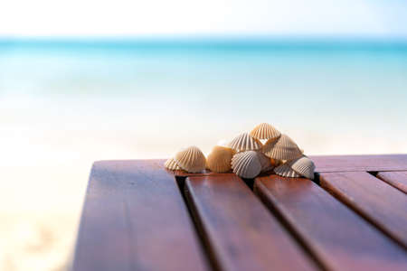 Seashells on the corners of bench