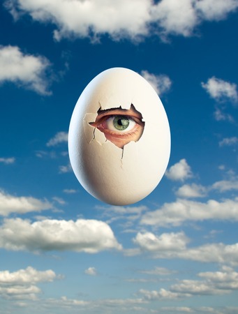 Close-up broken white egg with eye insideの写真素材