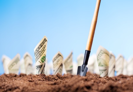 American dollars grow on the garden bed with shovel
