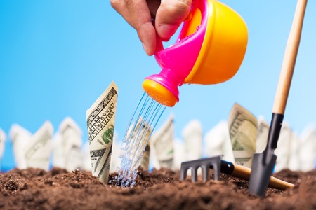 Watering the money sprigs on the garden bedの写真素材