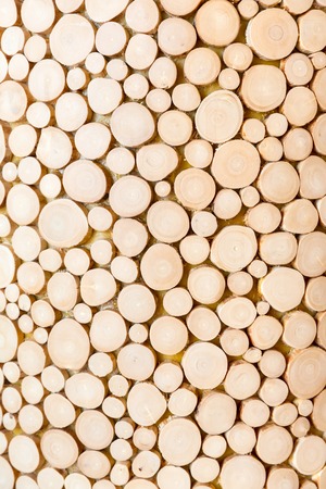 Fresh wooden logs texture close upの写真素材