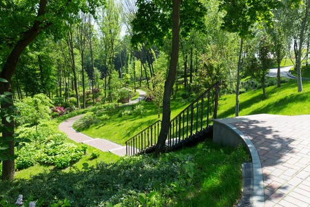 View of beautiful spring green park with long alley