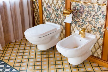 Novi Petrivtsi, Ukraine - May 27, 2015 Mezhigirya residence of ex-president of Ukraine Yanukovich. Close up of luxurious toiletのeditorial素材
