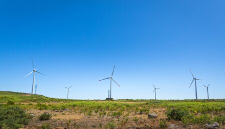 Windmills in the green valley against clear sky in summer