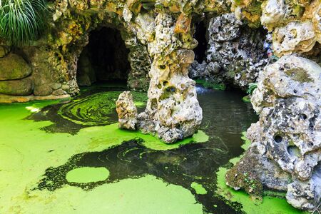 Wild marsh with caves in the forestの写真素材